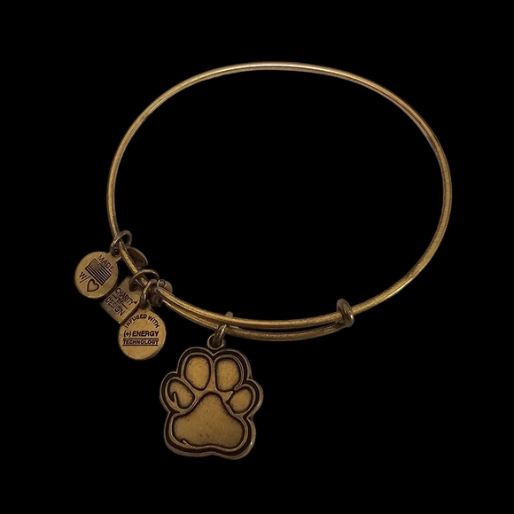 Alex and Ani Paw Print Bracelet - Picture 1 of 1